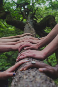 Several hands around a tree